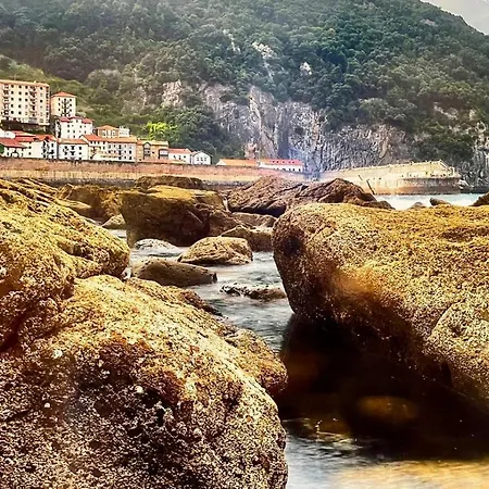 דירה Precioso En El Puerto De אלנצ'ובה