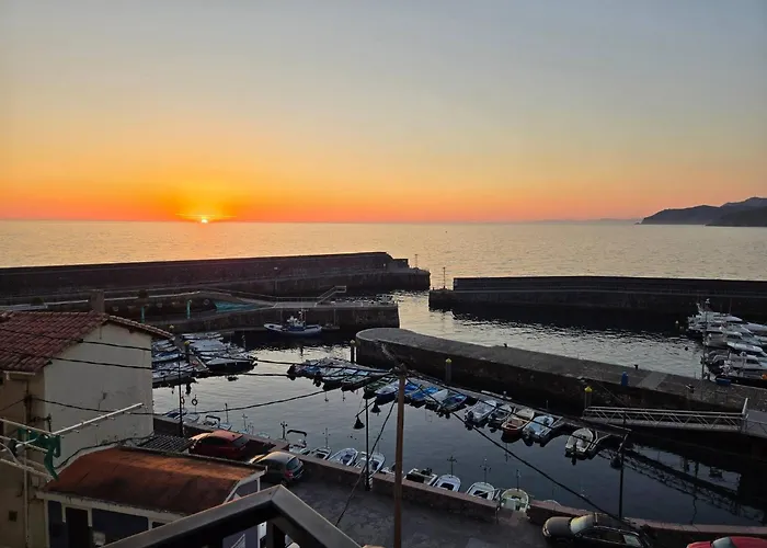 Precioso En El Puerto De *